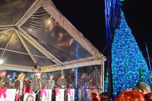 Lighting of the Christmas Tree at National Harbor, National Harbor, Maryland